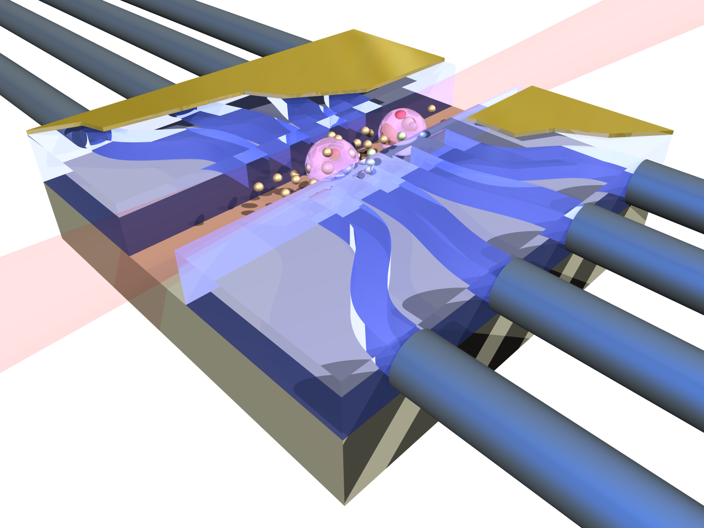 A fibre waveguide array coupling light in and out of an ensemble of ultra-cold atoms.